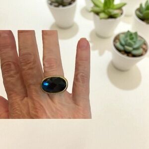 Lia Sophia Midnight Blue and Gold Ring